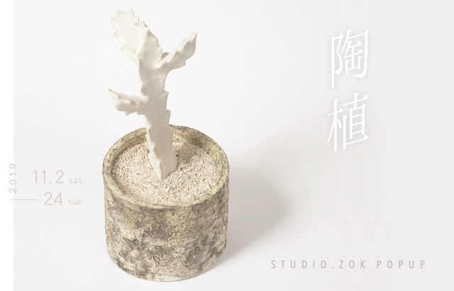 陶植-STUDIO.ZOK POPUP-